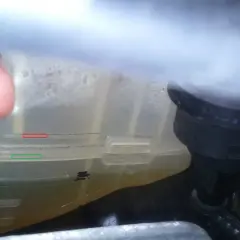 Poziom płynu chłodniczego w zbiorniczku Renault Megane. Czerwona linia oznacza max, zielona min.