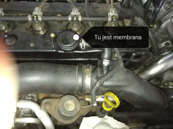 Membrana odmy w Oplu Astrze H, widoczna na zdjęciu silnika, jest kluczowym elementem układu odpowietrzania skrzyni korbowej.